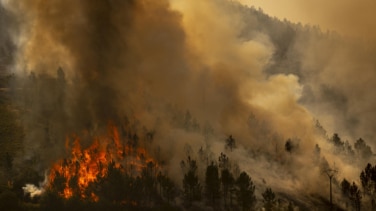 Interior activa la fase de preemergencia ante los múltiples incendios para coordinar la movilización de los recursos