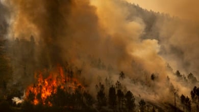Interior activa la fase de preemergencia ante los múltiples incendios para coordinar la movilización de los recursos
