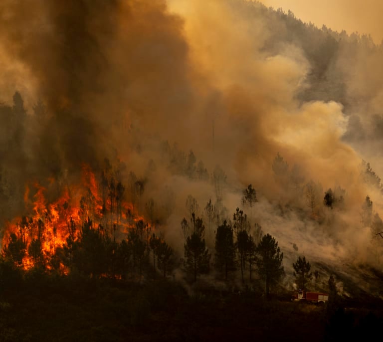 Interior activa la fase de preemergencia ante los múltiples incendios para coordinar la movilización de los recursos