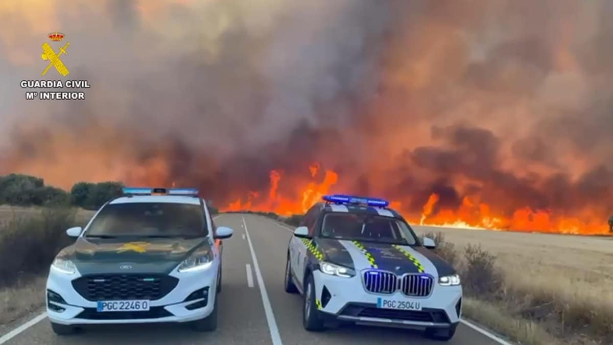 Cortes de carretera en la ZA-P 2554, por un incendio en las proximidades de Cubo de Benavente, Zamora.