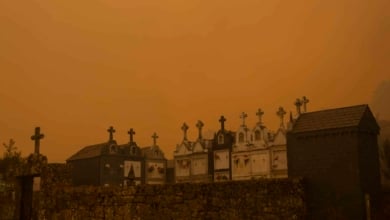 Incendios en España: ascienden a 6.000 las personas desalojadas por los fuegos activos