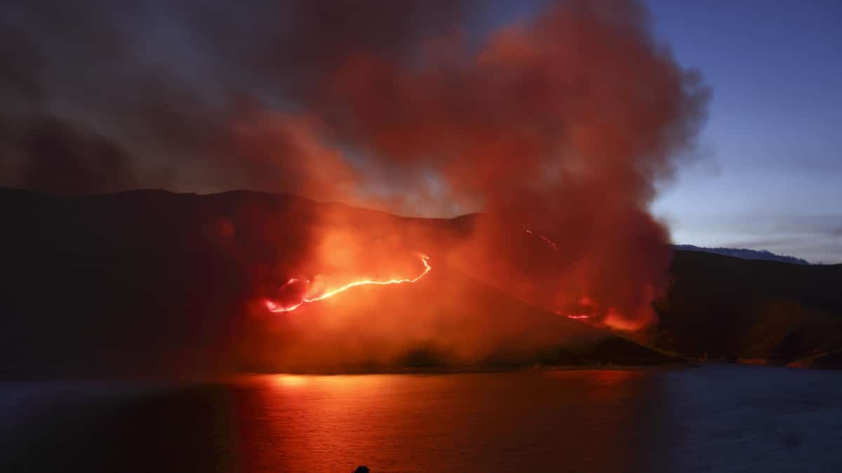 Vídeo: El verano en que ardió España