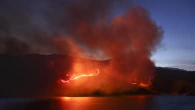 Vídeo: El verano en que ardió España
