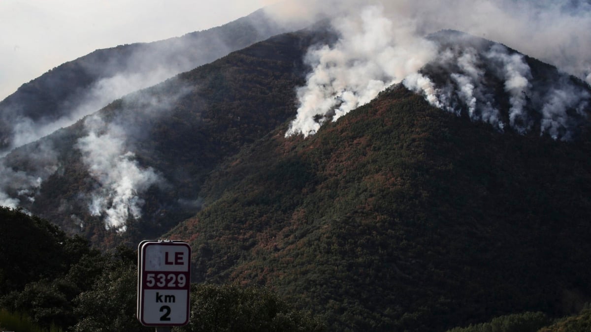 Los espacios protegidos y el fuego