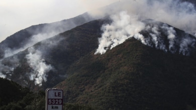 Los espacios protegidos y el fuego