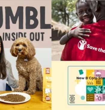 Scrumbles abandona la certificación B Corp y dona su cuota a Save [...]