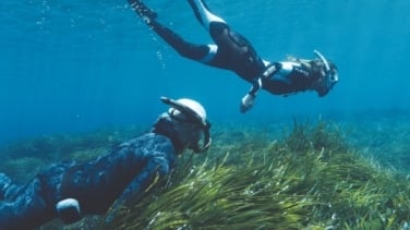 La iniciativa que ha sembrado 37.000 plantas de posidonia para proteger el Mediterráneo