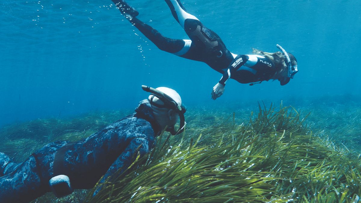 La iniciativa que ha sembrado 37.000 plantas de posidonia para proteger el Mediterráneo