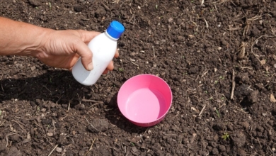 El consejo viral con el agua oxigenada que pone en riesgo tu salud