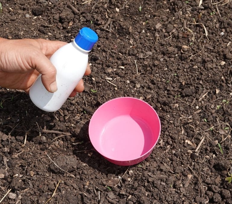 El consejo viral con el agua oxigenada que pone en riesgo tu salud