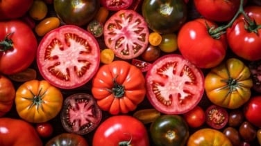 Los alimentos que ayudan a retener líquidos durante el verano: no siempre es positivo comerlos