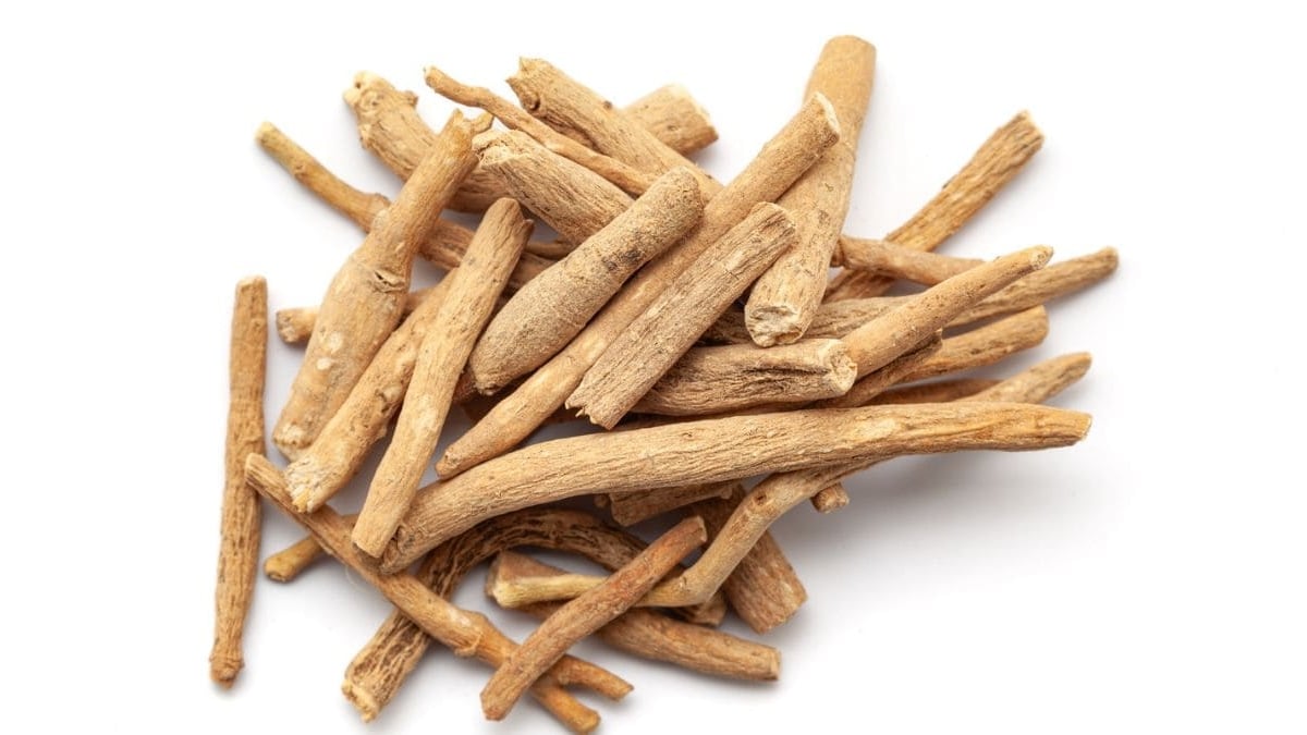 Ashwagandha planta medicinal