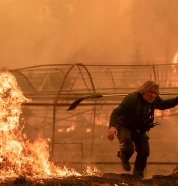 El cambio climático multiplicó por 40 las condiciones para que se produjera [...]