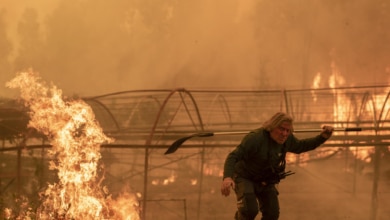 El cambio climático multiplicó por 40 las condiciones para que se produjera la ola de incendios de agosto 