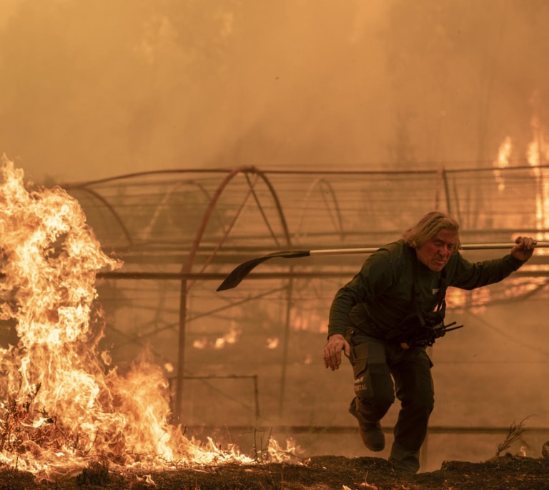 El cambio climático multiplicó por 40 las condiciones para que se produjera la ola de incendios de agosto 