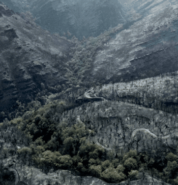 Brais Lorenzo, el 'ojo público' en los incendios de Galicia: "Los políticos [...]