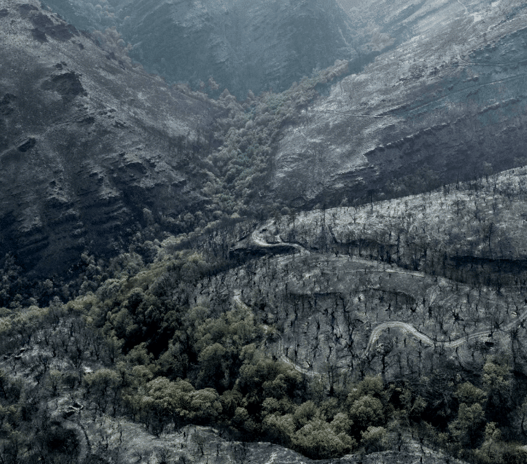Brais Lorenzo, el 'ojo público' en los incendios de Galicia: "Los políticos están desconectados de la realidad"