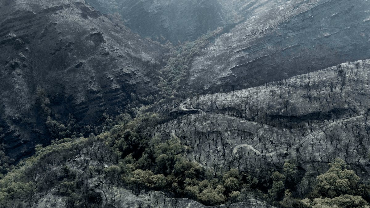 Superficie calcinada por el peor incendio de la historia de Galicia, el de Larouco (Ourense), estabilizado tras arrasar 30.000 hectáreas.