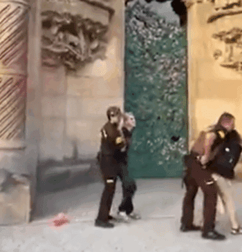 Activistas lanzan tinta a la fachada de la Sagrada Familia para protestar [...]