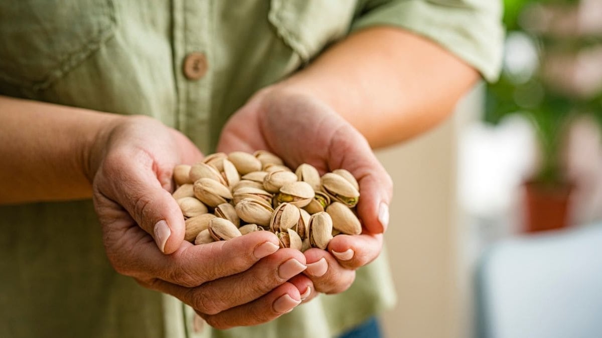 Cascaras pistachos plantas