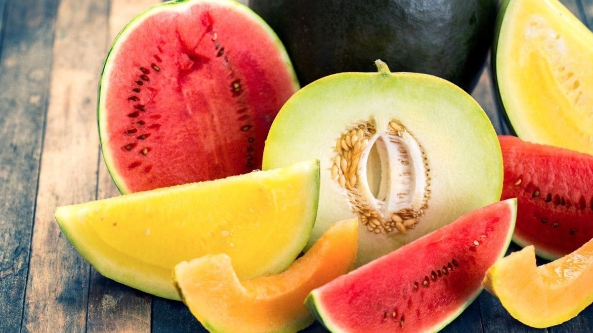 Conservar melón sandia