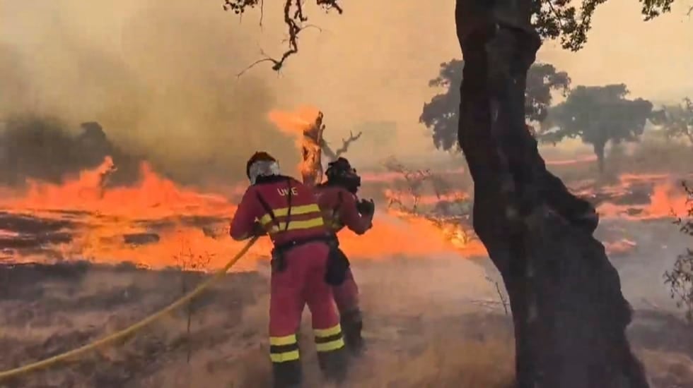 Más de 300 efectivos intervienen en el incendio de Jarilla (Cáceres), que afecta a 11.000 hectáreas