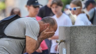 Lunes de hasta 42ºC y avisos por la ola de calor en más de 30 provincias
