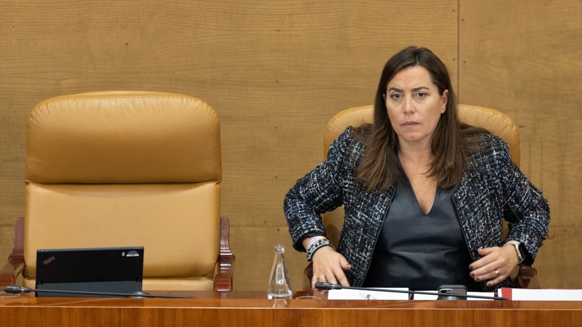 El PP de Madrid admite que su número 3, Ana Millán, no es licenciada en Políticas