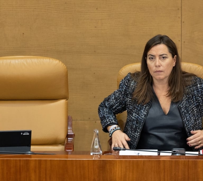 El PP de Madrid admite que su número 3, Ana Millán, no es licenciada en Políticas