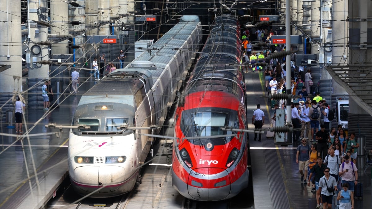 Dos trenes detenidos en la estación de Atocha.