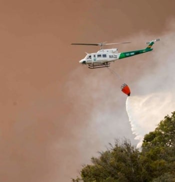 El incendio en Tarifa obliga a evacuar a 1.500 personas mientras continúa [...]