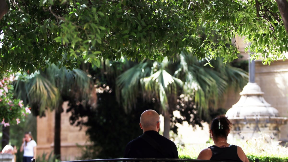 El coste del Ingreso Mínimo Vital en Andalucía equivale al de Cataluña, Valencia y Madrid juntas