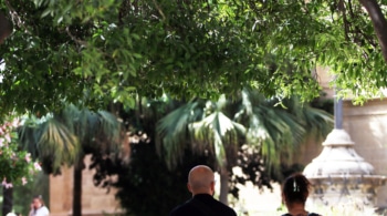 El coste del Ingreso Mínimo Vital en Andalucía equivale al de Cataluña, Valencia y Madrid juntas 