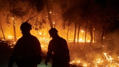 Ola de calor y falta de prevención, igual a siete grandes incendios forestales en una semana