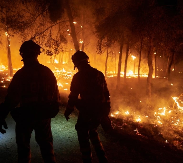 La ola de calor y la falta de prevención causan ocho grandes incendios forestales en menos de una semana