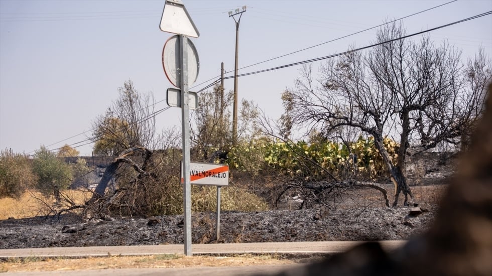 Extinguido el incendio iniciado en Navalmoralejo (Toledo) y que saltó la frontera con Extremadura