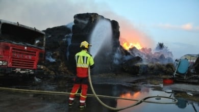 Castilla y León sigue en llamas con hasta ocho incendios graves en León, Zamora y Palencia