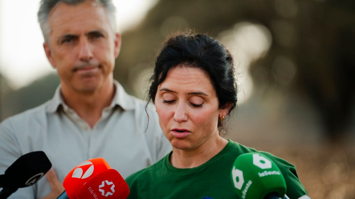 Ayuso de vuelta en Madrid: "El twitter hay que dejarlo para otro momento. Ahora corresponde colaborar y ayudar"