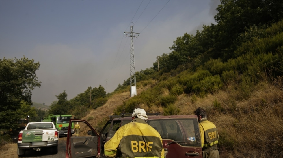El incendio leonés de Canalejas entra en Palencia y arrasa varias viviendas en Cansoles