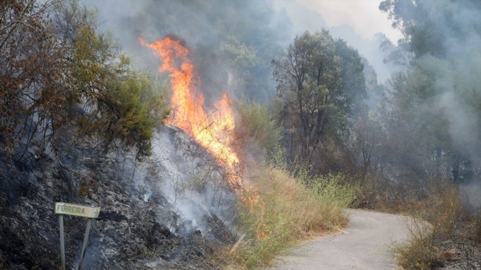 El alcalde de Quiroga (Lugo) asegura que el fuego afecta ya a unas 5.000 ha del municipio