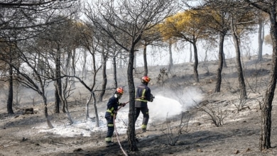 El Gobierno declarará zona de emergencia los territorios afectados por los incendios