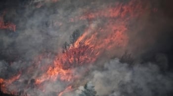 El Gobierno solo dedicó 7 millones más a la prevención de incendios pese a que Sánchez declaró la emergencia climática en 2020 