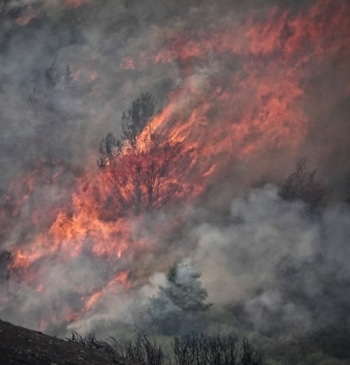 El Gobierno solo dedicó 7 millones más a la prevención de incendios [...]