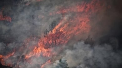 El Gobierno solo dedicó 7 millones más a la prevención de incendios pese a que Sánchez declaró la emergencia climática en 2020