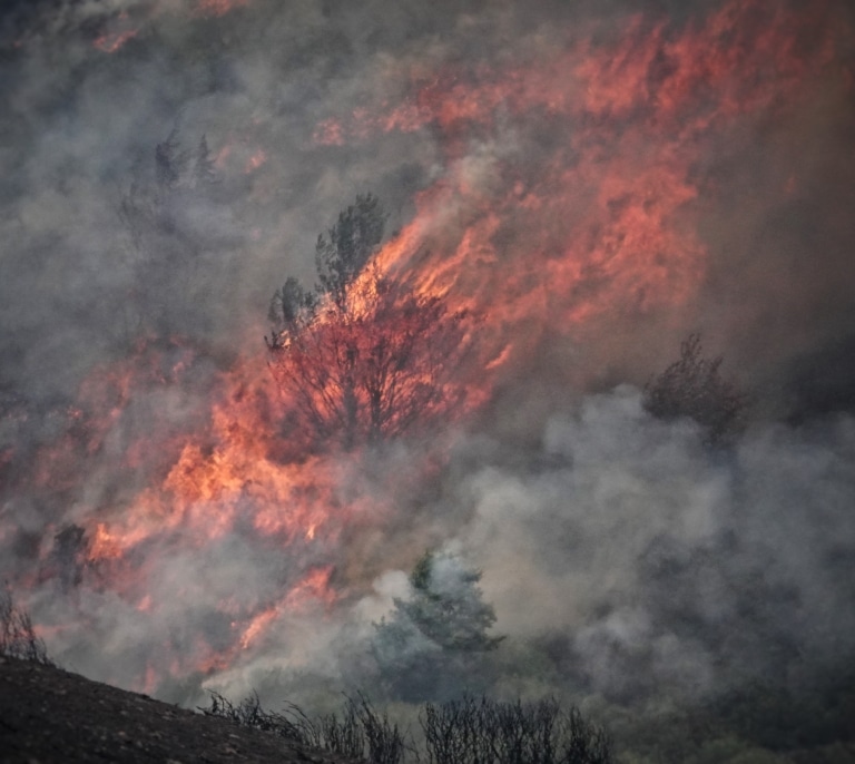 El Gobierno solo dedicó 7 millones más a la prevención de incendios pese a que Sánchez declaró la emergencia climática en 2020