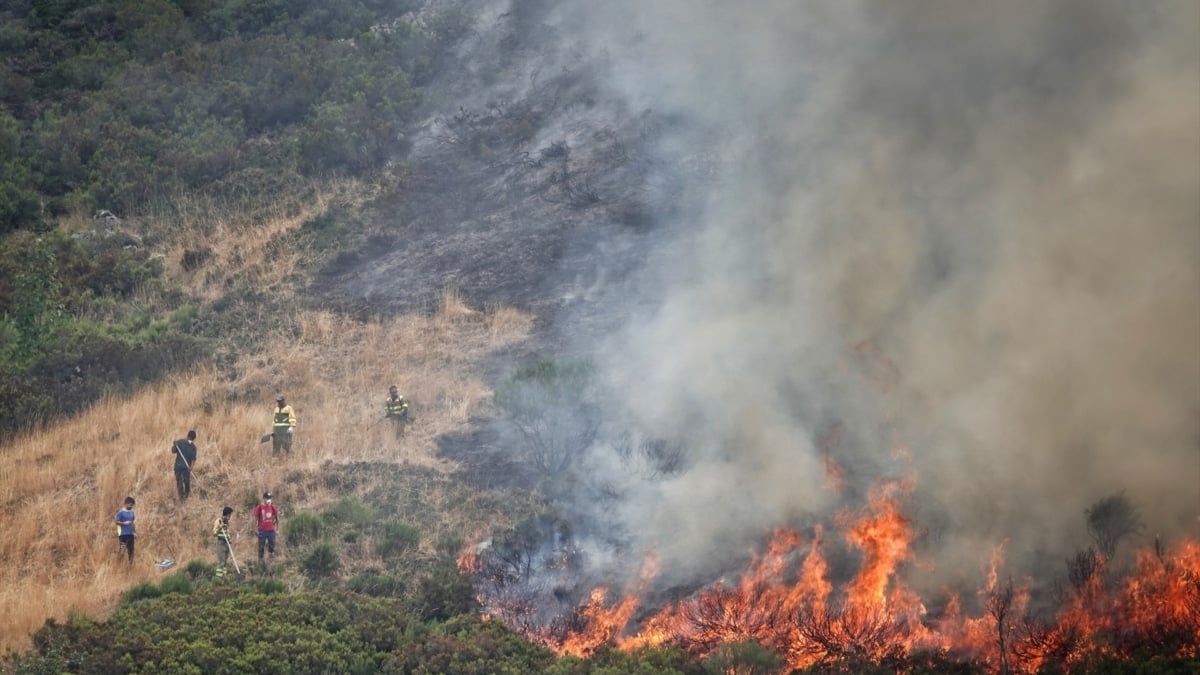 España bate su récord de emisiones desde que hay registros por los incendios