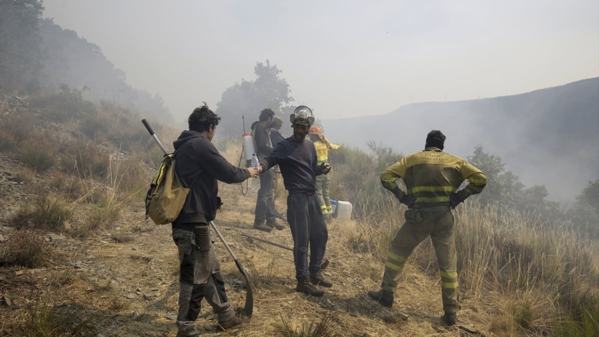 La errada normativa conservacionista, el combustible acelerador