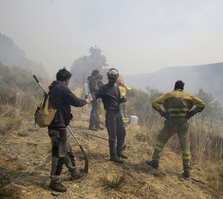 La errada normativa conservacionista, el combustible acelerador