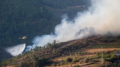 Leve respiro en Galicia: Siete incendios continúan activos en la provincia de Ourense