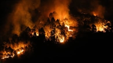 Más de 1.500 firmas denuncian el abandono institucional: "Calculan votos mientras arden nuestras casas"
